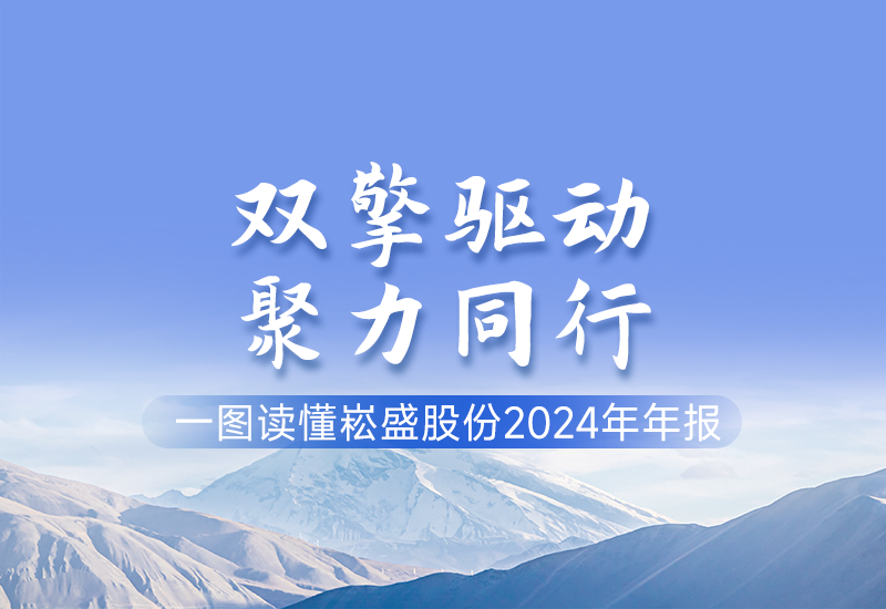 一图读懂 ▏yp街机股份2024年年报